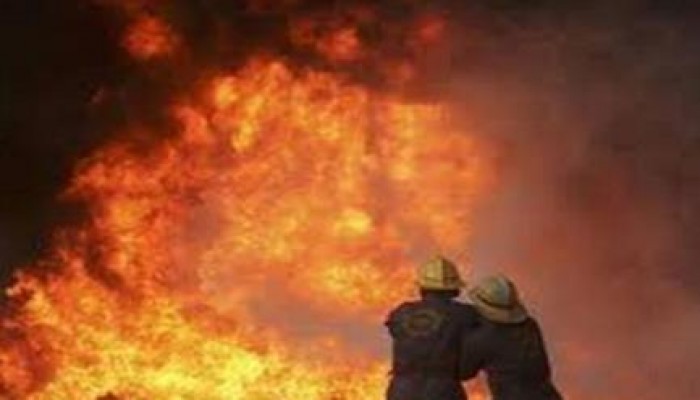 نحس السيسى: حريق يلتهم مزرعة حيوانية بأبو المطامير