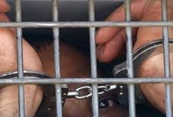 "رابطة أسر معتقلي الصحافة" تتضامن مع معتقلي الرأي في "انتفاضة السجون الثالثة"