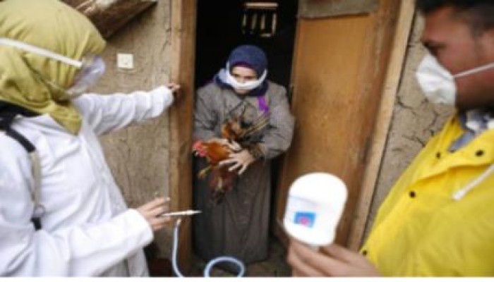 وفاة ثاني سيدة بمرض إنفلونزا الطيور في المنيا