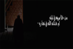 ومضة من السنة