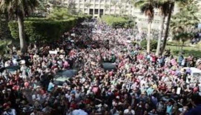 فصل 11أستاذ جامعي و18طالباً بجامعة الإسكندرية