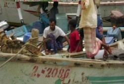 الصيادون العائدون من اليمن: السفارة المصرية تجاهلت قضيتنا