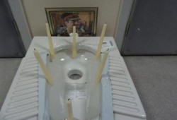 صورة وتعليق: الاحتفال بعيد ميلاد السيسي في يوم المراحيض العالمي