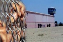 قوات الأمن تعدي بالضرب والسب علي معتقلي الابعادية