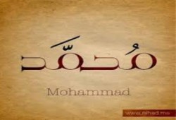 إحصاء صهيوني: اسم "محمد" يحتل المرتبة الأولى لمواليد 2013