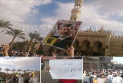 تظاهرات في ‏القليوبية رفضًا للعسكر في جمعة "قوتنا في وحدتنا"