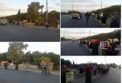 البحيرة : "ثوار النوبارية" ينتفضون بسلسلة بشرية مطلع أسبوع "قوتنا في وحدتنا"