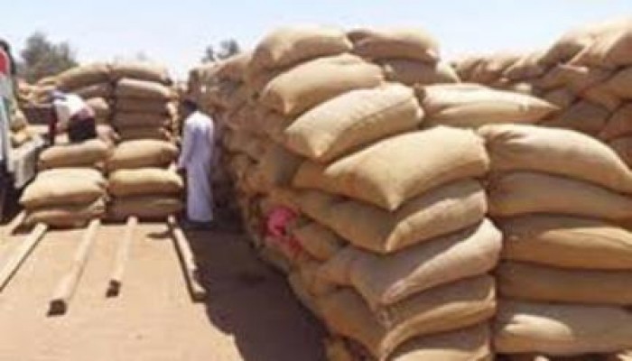 فضيحة : دخول 63 ألف طن قمح  غير مطابق للمواصفات عبر الباخرة "وادي الكرنك".