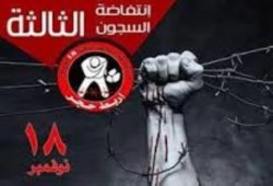 انتفاضة السجون.. إضراب 19400 معتقل مع 70 ألف متضامن