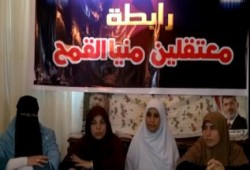 "معتقلي منيا القمح": لدينا 195 معتقلا في سجون الانقلاب