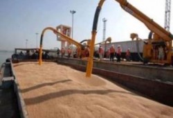 الجزيرة : 63 ألف طن من القمح الفاسد في ميناء سفاجا