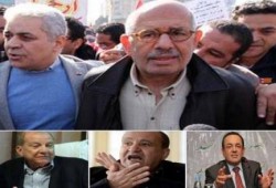 شريف قنديل : أحذر من  ورد النيل الذي ظهر بكثافة ليسد مجرى الثورة من جديد!