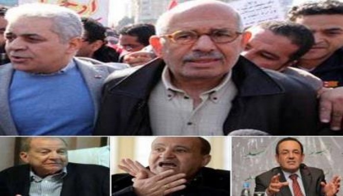 شريف قنديل : أحذر من  ورد النيل الذي ظهر بكثافة ليسد مجرى الثورة من جديد!