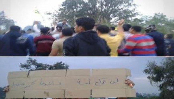 مسيرة بدسوق ضمن فاعليات أسبوع "قوتنا في وحدتنا"