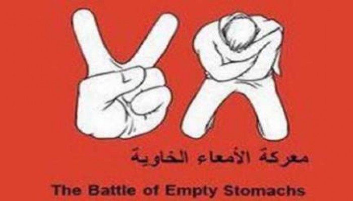 "تيليسور": اتساع دائرة الإضراب عن الطعام في مصر