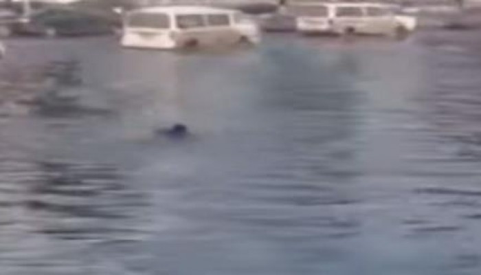 فشل الانقلاب: الأمطار تحول شوارع التجمع الخامس  لـ "بركة سباحة" (فيديو)