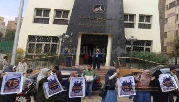 ناشطات يحيون اليوم العالمي لمناهضة العنف ضد المرأة بسلسلة بشرية امام" القومي للمرأة"