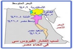 صحة الانقلاب: التهاب الكبد الوبائي خطر يهدد أمن مصر .. ومعدل الانتشار 22%