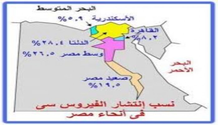 صحة الانقلاب: التهاب الكبد الوبائي خطر يهدد أمن مصر .. ومعدل الانتشار 22%