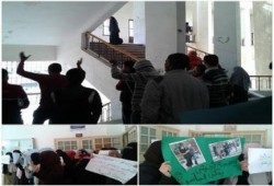 وقفة بطب الازهر بدمياط تطالب بالافراج عن البنات المعتقلات