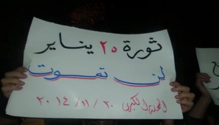 الغربية: شباب المحلة الكبرى: "ثورة 25 يناير لن تموت"