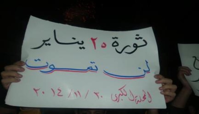 الغربية: شباب المحلة الكبرى: "ثورة 25 يناير لن تموت"