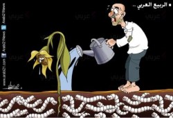كاريكاتير .. الربيع العربي