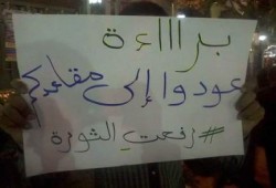 حلوان: ثوار حدائق حلوان يرفضون تبرئة المخلوع