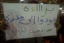 حلوان: ثوار حدائق حلوان يرفضون تبرئة المخلوع