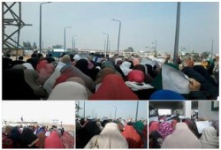 "طلاب ضد الانقلاب" بجامعة دمنهور : توحد الثوار الطريق الوحيد لاستعادة حقوق الشهداء