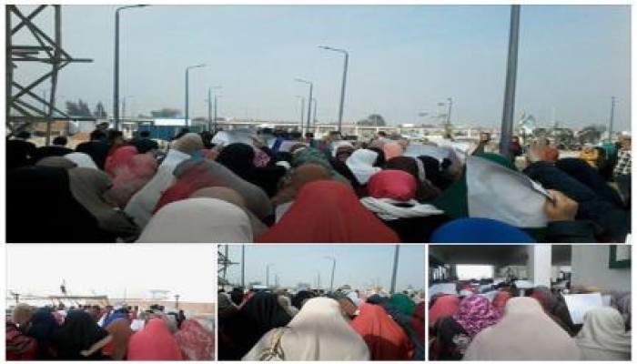 "طلاب ضد الانقلاب" بجامعة دمنهور : توحد الثوار الطريق الوحيد لاستعادة حقوق الشهداء