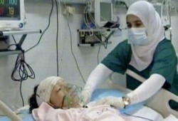 نحس الانقلاب:  إصابة حالة جديدة بمرض إنفلونزا الطيور بالمنيا