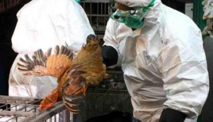 صحة الانقلاب: توقعات بزيادة نسبة حالات الإصابة بالأنفلونزا