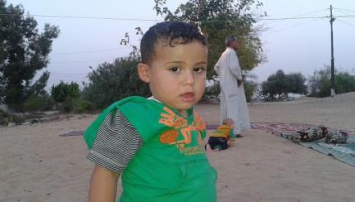 حيوان مفترس يهاجم طفل بقرية بالوظة غرب بئرالعبد