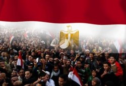 الشعب المصري والأنعام