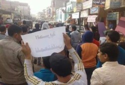 فعاليات مناهضة للانقلاب العسكري بدمنهور وحوش عيسى