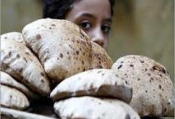 فشل منظومة الخبز بالغربية .. واشتباكات بين الأهالي