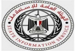 الهيئة العامة للاستعلامات: التعليق على أحكام القضاء ممنوع