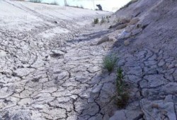 الجيزة.. العطش يهدد 1000فدان بـ"أبو غالب"