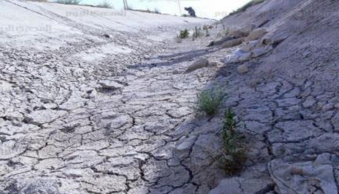 الجيزة.. العطش يهدد 1000فدان بـ"أبو غالب"