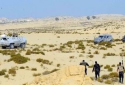 700 شركة مقاولات تطالب بتأمين خروجها من سيناء