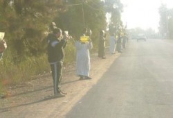 كفرالشيخ: سلسلة بشرية صباحية على طريق دسوق للتنديد بهمجية العسكر