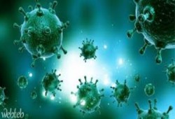 تخوف من إنتشار الحصبة بالعامرية والساحل الشمالي