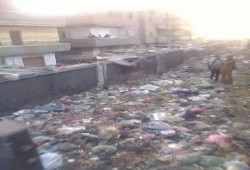 بالصور :  تلال قمامة وبحار صرف صحي تحاصر أهالى نبروة