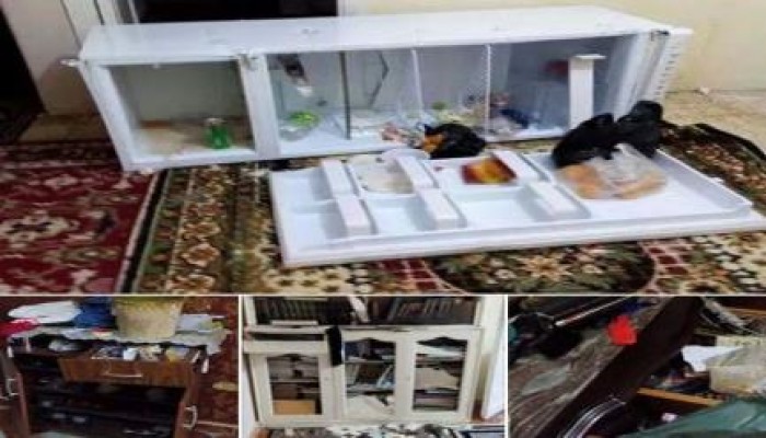 ثوار الإسكندرية ينددون بأحداث قرية المهاجرين