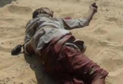 "المرصد المصري للحريات"يوثق مقتل 65 شخصا على يد الجيش الانقلاب بسيناء