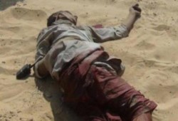 "المرصد المصري للحريات"يوثق مقتل 65 شخصا على يد الجيش الانقلاب بسيناء