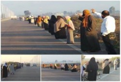 كفرالشيخ : سلاسل بشرية صباحية"بالرياض"ضد الانقلاب العسكري