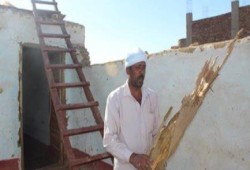 "النمل الأبيض" يهاجم بيوت نجوع الأقصر
