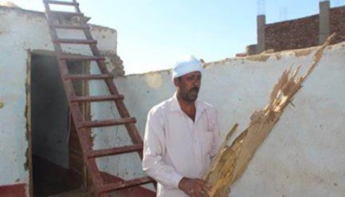 "النمل الأبيض" يهاجم بيوت نجوع الأقصر